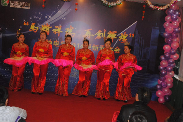 西馳電氣年會圓滿成功(圖11) 西馳電氣年會圓滿成功(圖11)